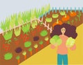 Illustration of woman cultivating organic and fresh vegetables in a farm