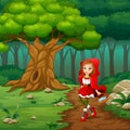 Women red hooded at the street forest Royalty Free Stock Photo