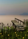 The Wooden Bridge