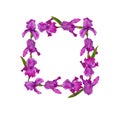 Wreath flowers irises watercolor decoration design botanical illustration textiles invitations greeting card frame spring