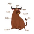 Yak vocabulary part of body.vector Royalty Free Stock Photo