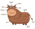 Illustration of yak vocabulary part of body Royalty Free Stock Photo