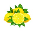 Illustration of yellow lemon fruit with green leaves isolated on white background. Watercolor drawing by hand.