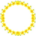 Illustration yellow lily round frame