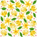 Illustration of ylang-ylang yellow flowers tropical fragrance of trees summer climate blooming flowers pattern for textiles