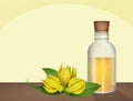 Illustration of ylang ylang oil