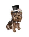 Illustration of a Yorkshire Terrier dog in a hat and bow tie. Royalty Free Stock Photo