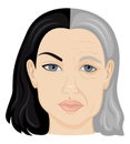Illustration of young and old face Royalty Free Stock Photo