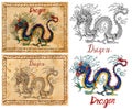 Illustration with zodiac animal - Dragon Royalty Free Stock Photo