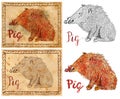 Illustration with zodiac animal - Pig or Boar Royalty Free Stock Photo