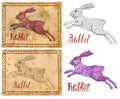 Illustration with zodiac animal - Rabbit Royalty Free Stock Photo