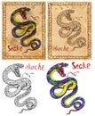 Illustration with zodiac animal - Snake Royalty Free Stock Photo