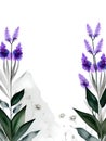 Illustrationof A Beautiful Watercolor Greeting Template. A Filed of Wildflowers. Royalty Free Stock Photo