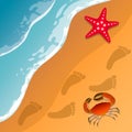 Illustrations at the beach theme. Summer vacation by the sea. Crab and starfish on the sand. Sea surf . Royalty Free Stock Photo