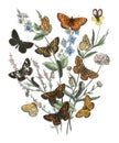 Ilustrácie kniha motýle a mory podľa 1882 