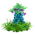 The illustrations and clipart. Cartoon image. blue hyacinth in a pot