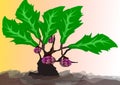 The illustrations and clipart. Vector image. Unique tree with some purple fruits hanging on