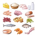 Illustrations of different products which contains protein. Vector pictures in cartoon style Royalty Free Stock Photo
