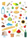 Illustrations of different products on white background. Nutritionist`s recommendations