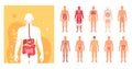 Human body and organs illustrations in flat design Royalty Free Stock Photo