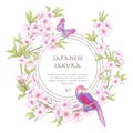 Illustrations with Japanese blossom pink sakura and birds with p Royalty Free Stock Photo