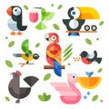 Illustrations magic birds and chicks
