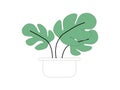 Illustrations plants and potted plants used for various media