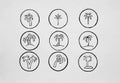 Illustrations Set black silhouettes isolated palm trees on a white background Royalty Free Stock Photo