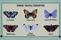 Illustrations of six endangered kinds of butterflies, wich are active during the days in the woods of Thuringia in Germany