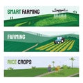 Illustrations of smart farming, rice crops, agriculture