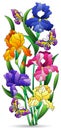 An illustrations of stained glass windows with compositions of irises, flowers isolated on a white background Royalty Free Stock Photo