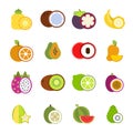 Illustrations of tropical fruits in vector style Royalty Free Stock Photo