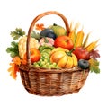 Illustrations of wicker basket full of vegetables and fruits pumpkins, tomatoes, corn, leaves. Picture on a white isolated Royalty Free Stock Photo