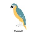 Illustrationwith bright bird - macaw parrot