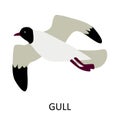 Illustrationwith sea bird - gull. Cute cartoon character