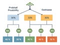 Data Tree Chart Probability Percentage Decision Tree Business Analytics Statistics Royalty Free Stock Photo