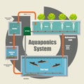 Illustrative diagram of how the Aquaponics system work Royalty Free Stock Photo