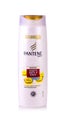 Illustrative Editorial of one 21 ounce bottle Pantene Pro-V bran