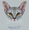 Illustrative Portrait of Abyssinian Cat