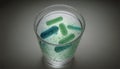 Illustrative representation of drinking water contaminated with bacteria and pathogens in a drinking glass Royalty Free Stock Photo
