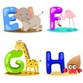 Illustrator alphabet animal LETTER - e,f,g,h