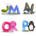 Illustrator alphabet animal LETTER - m,n,o,p Royalty Free Stock Photo