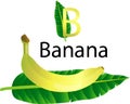Illustrator b font with banana