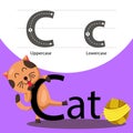 Illustrator of cat with c font