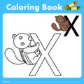 Illustrator of color book with xerus animal