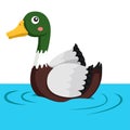 Illustrator of duck animal