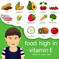 Illustrator of food high in vitamin e