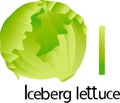 Illustrator i font with iceberg lettuce