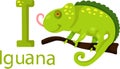 Illustrator of I with iguana