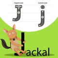 Illustrator of jackal with j font